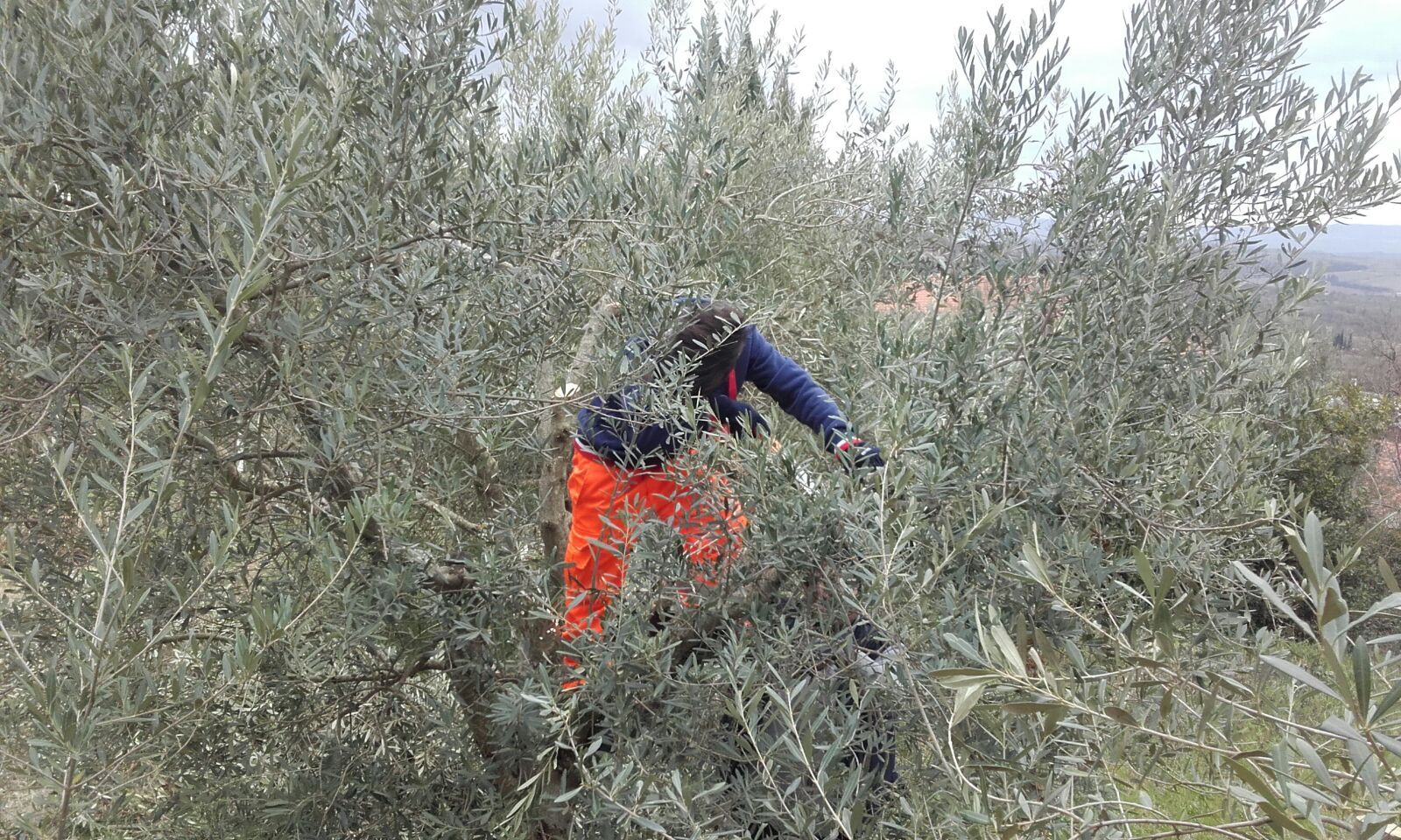 Famiglia contadina anni 20 del 900